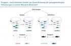 Gruppen- und Individuen-Ansatz zur Quantifizierung der passagebedingten Verletzungen an einem Wasserkraftstandort