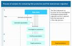 Infographic fish protection: Process of analysis for evaluating fish protection and fisch downstream migration